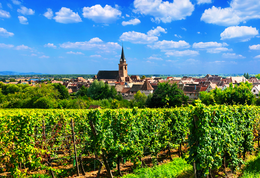 8 ige Autorundreise Elsass Strassburg Nordvogesen Kultur Genuss In Frankreich Rufr