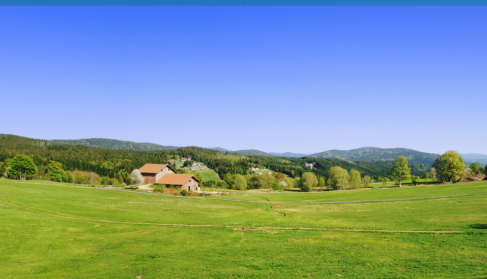Ferienpark Geyersberg in Freyung, Bayern Bayerischer Wald (fefe)